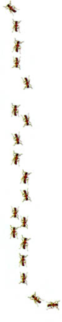 pathwayz-