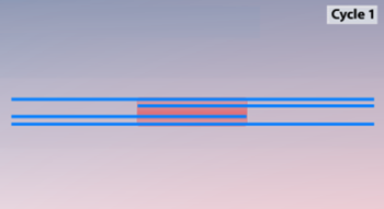 pathwayz-