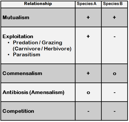 Ecology Interspecific Interactions Pathwayz