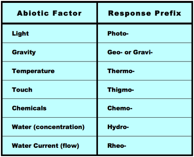 ANIMALS / ANIMAL ORIENTATION RESPONSES - Pathwayz