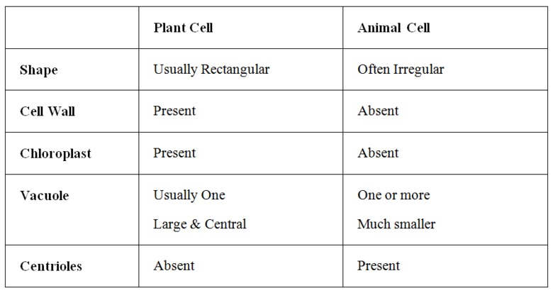 CELLS / PLANT VS. ANIMAL CELLS - Pathwayz