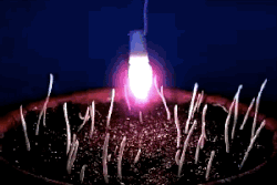 pathwayz-