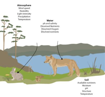 What are biotic factors?