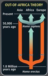 Out of africa theory evidence image