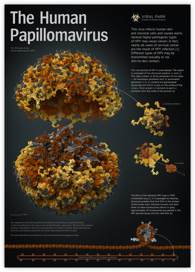 recenzii de papilomavirus uman)