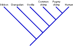 pathwayz-