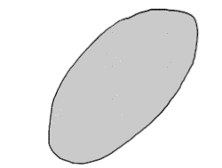 pathwayz-